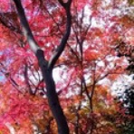 junnagのひとりごと