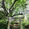 黒崎公園と玉垂神社
