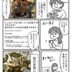 ともだちに忍者が多い人のブログ