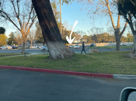 気になってじいさんを尾行した