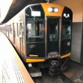 塗装変更される阪神電鉄の1000系の活躍範囲は…