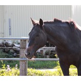 『15歳』の画像