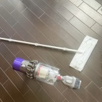 　落合桜　パリの風