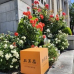 Divergent・構造翻訳アーキテクト養成講座