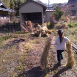 『こういう時は春の準備』の画像