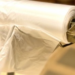 ねことダンボール