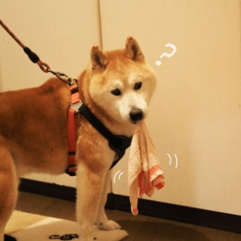 大丈夫か〜ぁ？？