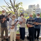 すぎなみでウクレレ♪