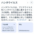 【雑談】ネズミが媒介するハンタウイルスって大丈夫なのだ？