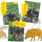 はなうた♪　イラストレーター☆シミキョウ