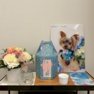 楽しくお別れ♪