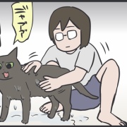 猫たちをお風呂に入れたら…