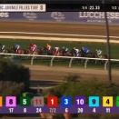 【競馬】ＢＣジュヴェナイルフィリーズターフ　坂井騎乗のスウィッチインラヴは逃げて11着