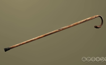 杖