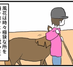 馬との力比べ