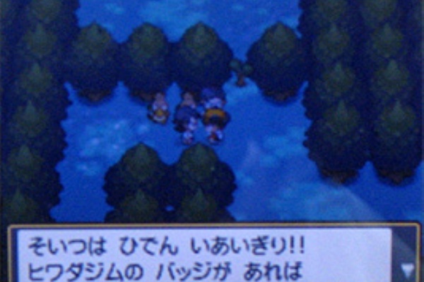 ポケモンスター ハートゴールド ソウルシルバー プレイ日記 8 どうぶつの森 と過ごす日々