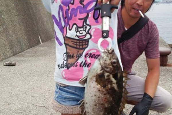 日本さかな検定 ととけん流 スターダイブのブログ 猛毒魚 アイゴを食べる スキューバーダイビング