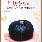 Heyモーの家庭菜園を楽しむ