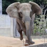 激怒プンプン丸な姉妹