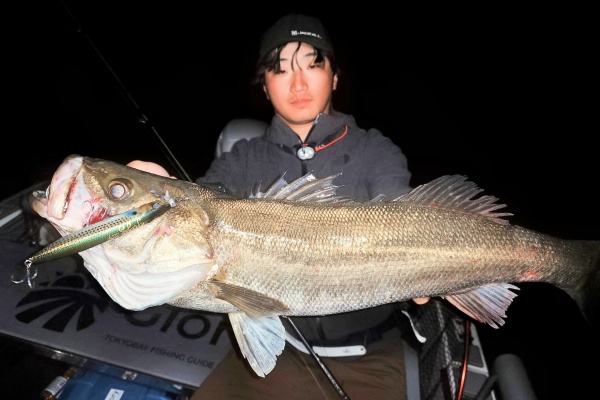 TOKYOBAY FISHING GUIDE SERVICE Glory(グローリーフィッシング)