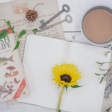 『父への手紙』の画像