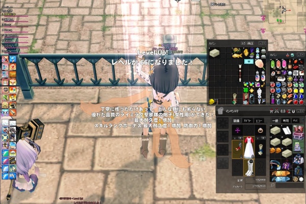 彩姉のティルコ観察日記 裁縫