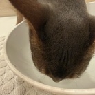 鼻低っ！