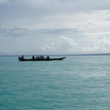 ���������䤤���ԤäƤ��롽�������Ǥʤ��Ƥ⡢�����Ф���������ư���٤β���