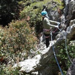 山の旅社 ガイドの日記 豊橋木戸