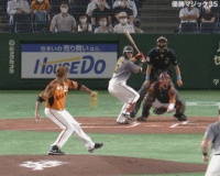 【阪神】陽川、守備妨害！？