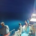 6月14日 近海半日SLJイサキ 早朝午前便