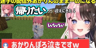 【ぶいすぽ】迷子の配信外あかりんのままーのになるひなーのｗｗｗ