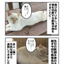 しっぽを食べられた猫 その後