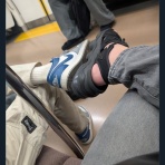 わんこーる速報！