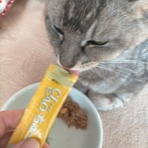 みーちゃんＨＯＵＳＥ