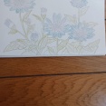 色鉛筆ぬり絵・・　　