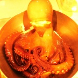 『国東の食環境（469）真蛸』の画像