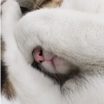 日常の風景　+plus  -minus