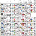 ハイブリッド競馬新聞
