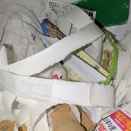 今日の文鳥と今日のヒヨドリ