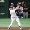 何で巨人は陽岱鋼使わないの？ 	