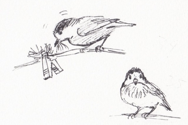 鈴木まもる 草刈り薪割り日記 14年03月