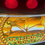 きんぴらの世迷言