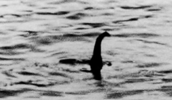 かつてUMAだとされてたけど実在した生物