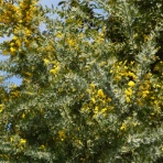 「藍川京」の部屋