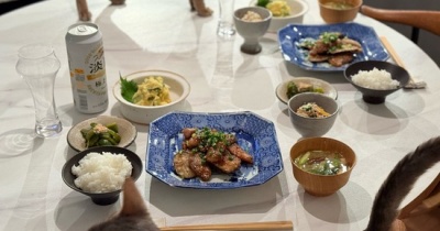 豚肉と茄子のカリカリ照り焼きとかの夜ごはん