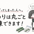 きゅうりは丸ごと冷凍できます！と、今日のおべんとう