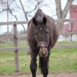 『小さな幸せ』の画像