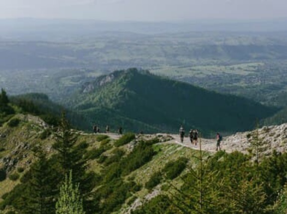 【ザック】14年前のケストレルが加水分解しない