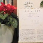 ＳＫＰうたしショップぽわーる